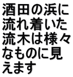 酒田の浜に 流れ着いた 流木は様々 なものに見 えます